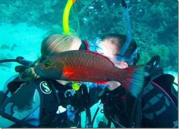 Senhor peixe ensina como estragar um momento romântico
