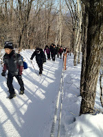 IMG_0128.jpg Photo