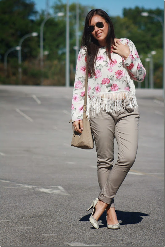 IMG_6869 IMG_6869