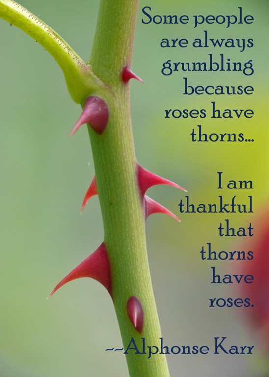 [thorns%255B17%255D.jpg]