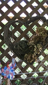 [IMG_0816%255B4%255D.jpg]