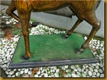 Kijang berdiri - kaki Kijang berdiri - kaki
