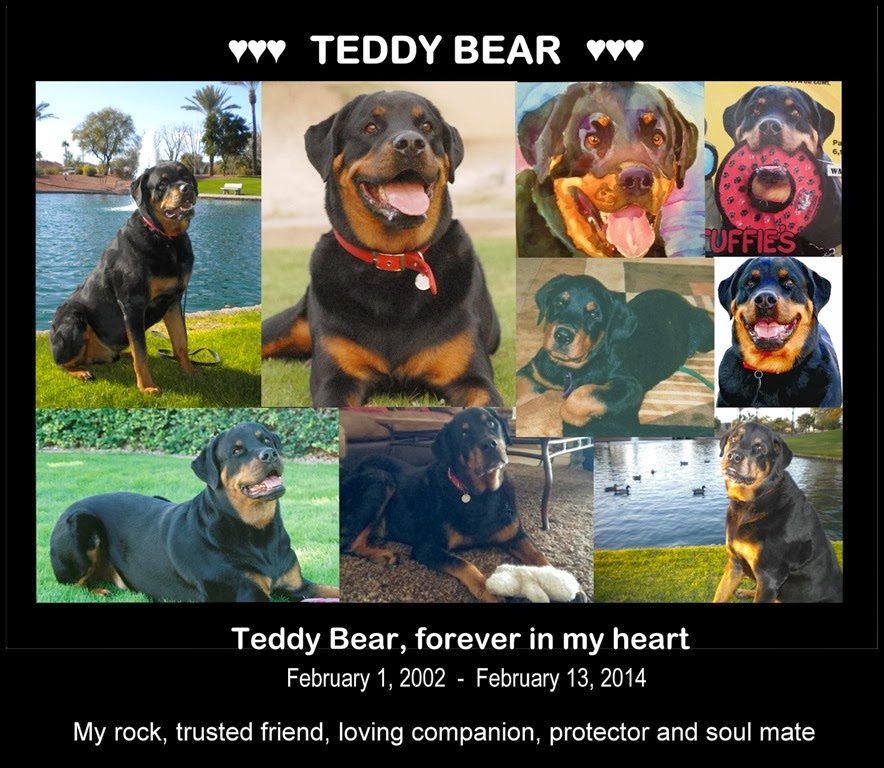 [teddy-2014%255B6%255D.jpg]
