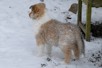 _DSC0037.JPG