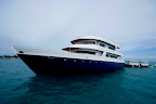 Dream Charter Vista Frontale