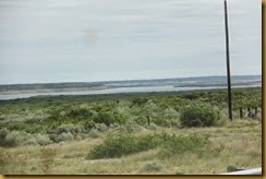 IMG_0316 IMG_0316