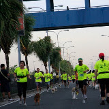 Pet Express Doggie Run 2012 Philippines. Jpg (50).JPG