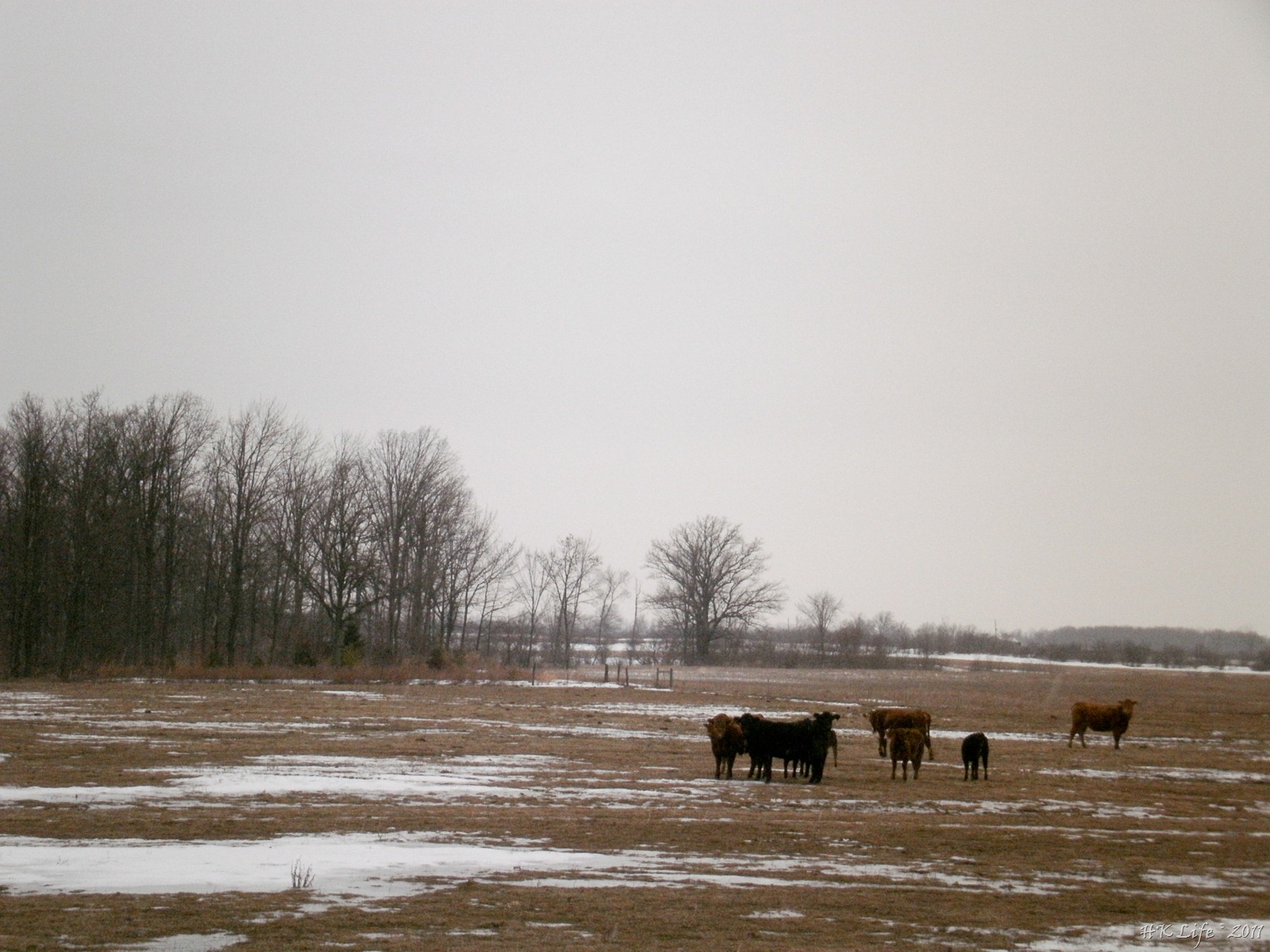 [P3040174%255B3%255D.jpg]