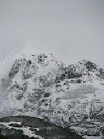 IMG_1480.jpg