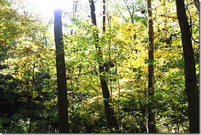 2012 043 EDIT 2012 043 EDIT