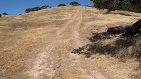 DSC02982.jpg