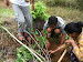 Bernard of pebble garden visited pR on 
nov 4 ,2011