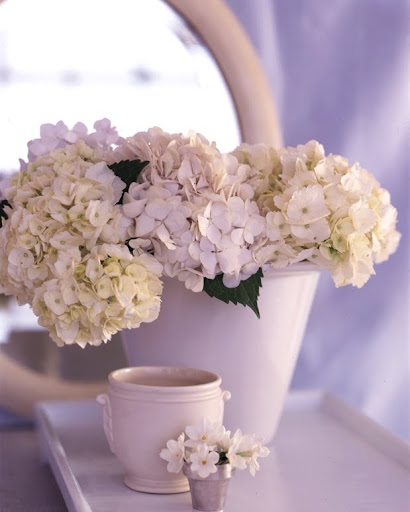 A pail widens ever so slightly at the top, giving flowers some freedom. (Martha Stewart Living)