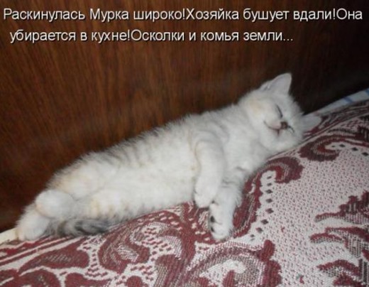 [fb0ea4050cf832a8f49d1b4c87c_prev%255B3%255D.jpg]