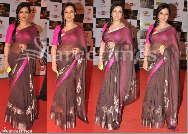 Tisca_Chopra_Saree