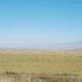 Tianshan - Paysage prairie et montagne