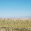 Tianshan - Paysage prairie et montagne