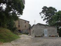 DSC08979.JPG Photo