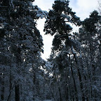 3-1-2010-027.jpg