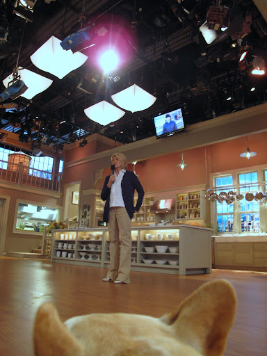 Q&A with Martha - Hey, I have a question - where's that great looking chicken you just cooked with Chef Humm?