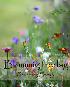 1-Blommig fredag 1-Blommig fredag