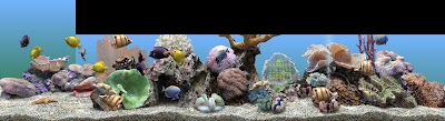 MarineAqua32a.jpg