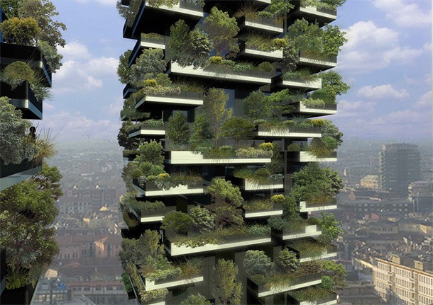 [First-Vertical-Forest-04%255B3%255D.jpg]