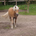 DSC02144.JPG