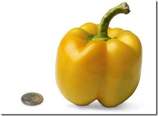 18-bell-pepper[1]
