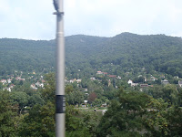 P8050390.JPG