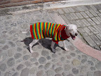 RAMIRO¡¡¡¡!! muy feliz con su vida llena de amor y paz ¡¡¡!!