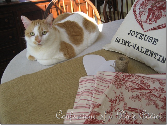 CONFESSIONS OF A PLATE ADDICT Baby Kitty 031