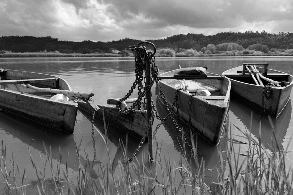 [AMC_2376bw%255B5%255D.jpg]