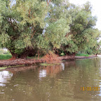 IMG_8221.JPG