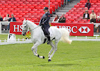 Vittoria Pannizzon and Borough Pennyz</p>
<p>Photo: Fiona Scott Maxwell/Mitsubishi Motors Badminton Horse Trials