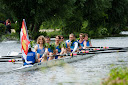 D2X_4187.jpg