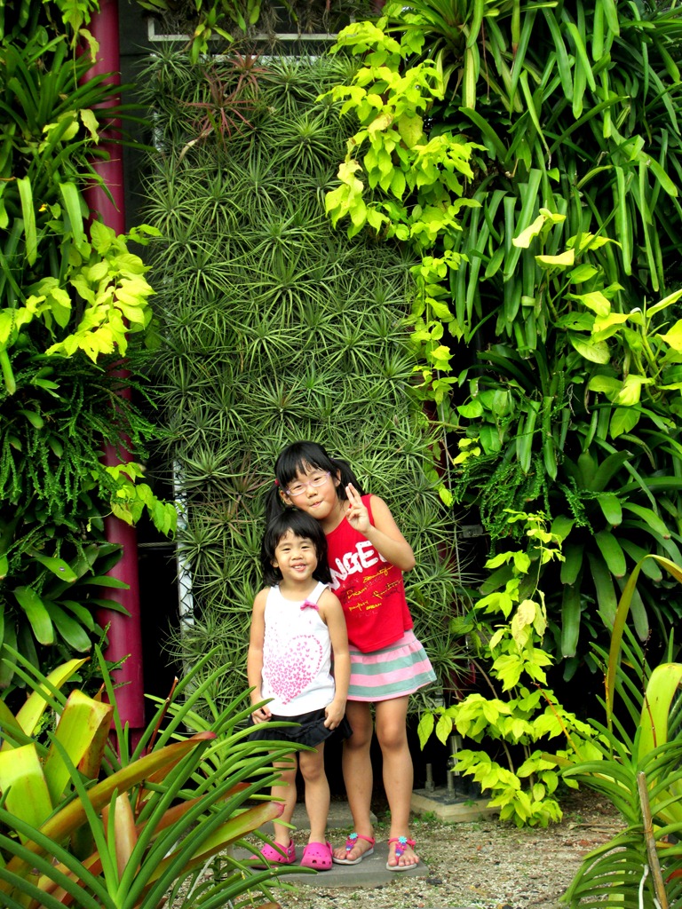 [IMG_1331%255B3%255D.jpg]