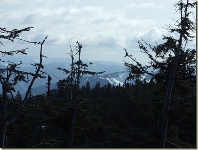 Starting the drive down from the lodge. Lodge is at 6000 ft, Mt Hood at 11,000