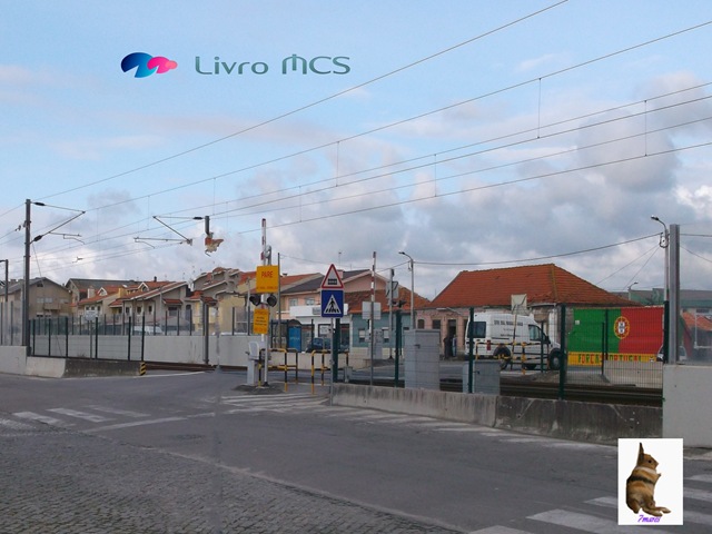 [Bolg%2520Gazeta%2520de%2520Espinho006%2520Livro%2520MCS%255B2%255D.jpg]