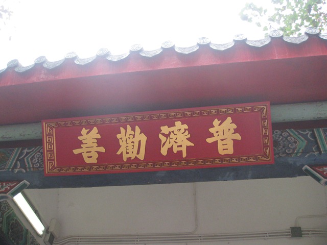 [imgi_009853.jpg]