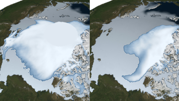 A NASA study published last January in the Journal of Climate shows that the oldest and thickest Arctic sea ice is disappearing at a faster rate than the younger, thinner ice at the edges of the Arctic Ocean's floating ice cap. Images show the ice cap in 1980 and in 2012. NASA