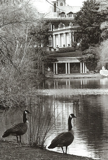 Finally, the east side of the house seen from the  lake.