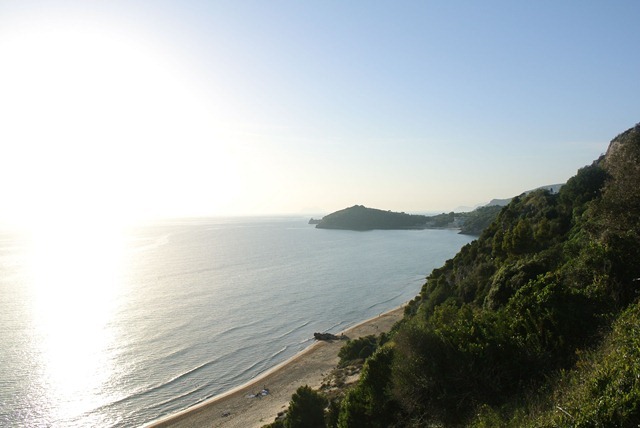 DSC_2288 DSC_2288