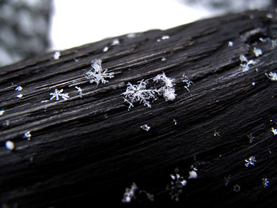 flocs de neu.jpg