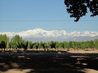 And again, those Andes dominated every view.