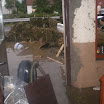 IMGP0554.JPG