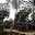 Cambodge- Angkor