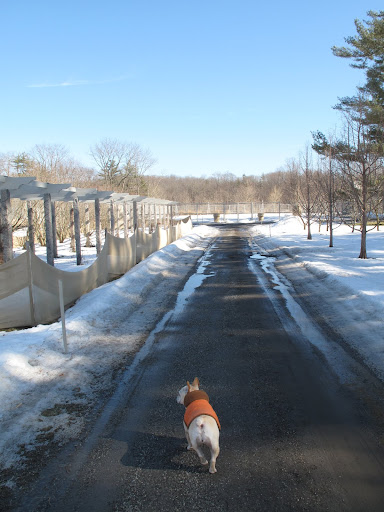 Well, that wasn't so helpful.  I'll just head down to the vegetable garden and greenhouse area.