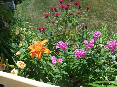 [Outdoor2011spring0012.jpg]