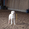 jan-feb 2010 092.JPG